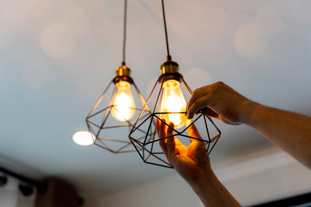 Best Electric Panel Repair  in Diamond Ridge, AK